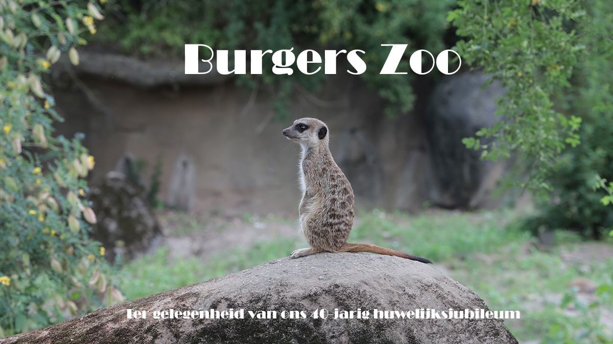 Burgers Zoo familie Mom